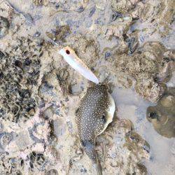 トップゲームは中毒化しやすい